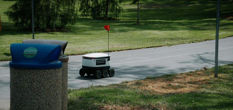 Just AI: Ensuring Equity in Environmental Solutions