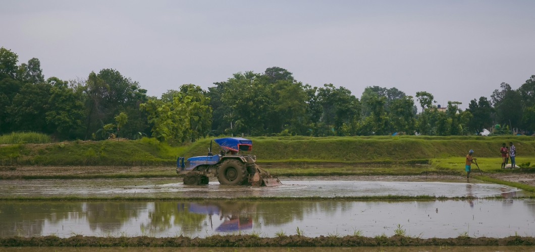 From Field to Forecast: How Farmers Are Using AI to Predict Crop Yield